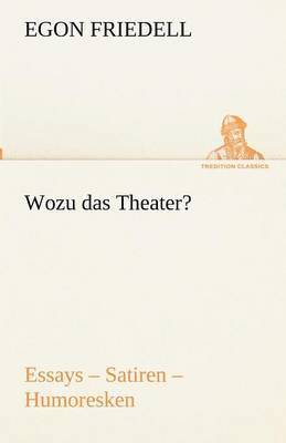 bokomslag Wozu das Theater?