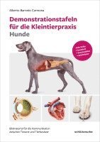 bokomslag Demonstrationstafeln für die Kleintierpraxis Hunde