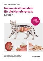 bokomslag Demonstrationstafeln für die Kleintierpraxis Katzen