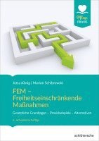 bokomslag FEM - Freiheitseinschränkende Maßnahmen