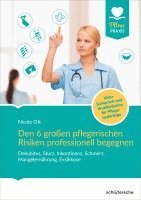 bokomslag Den 6 großen pflegerischen Risiken professionell begegnen