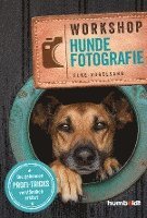 bokomslag Workshop Hundefotografie