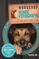 bokomslag Workshop Hundefotografie