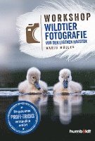 bokomslag Workshop Wildtierfotografie vor der eigenen Haustür