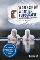 Mario Müller - Workshop Wildtierfotografie vor der eigenen Haustür, Häftad
