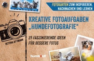 bokomslag Fotokarten. Kreative Fotoaufgaben 'Hundefotografie'