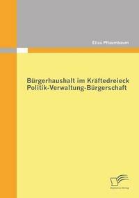 bokomslag Brgerhaushalt im Krftedreieck Politik-Verwaltung-Brgerschaft