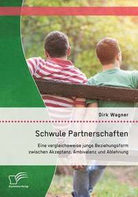 bokomslag Schwule Partnerschaften