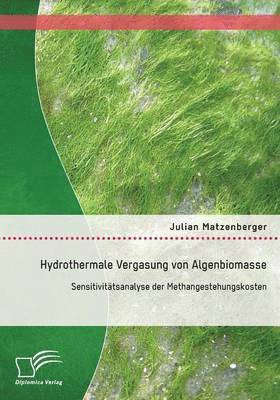 bokomslag Hydrothermale Vergasung von Algenbiomasse