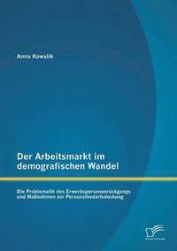 bokomslag Der Arbeitsmarkt im demografischen Wandel