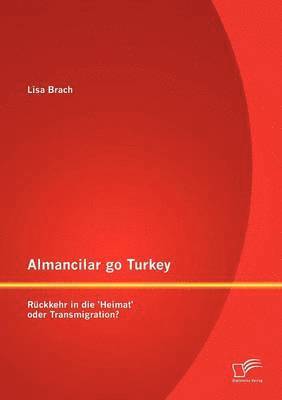 bokomslag Almancilar go Turkey - Rckkehr in die 'Heimat' oder Transmigration?