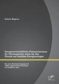 bokomslag Energiewirtschaftliche Potenzialanalyse fr Stromspeicher sowie fr den Einsatz von flexiblen Energieanlagen