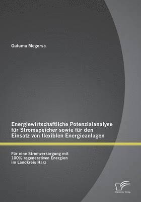 bokomslag Energiewirtschaftliche Potenzialanalyse fr Stromspeicher sowie fr den Einsatz von flexiblen Energieanlagen