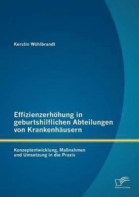 bokomslag Effizienzerhhung in geburtshilflichen Abteilungen von Krankenhusern