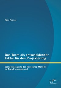 bokomslag Das Team als entscheidender Faktor fr den Projekterfolg