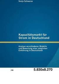 bokomslag Kapazittsmarkt fr Strom in Deutschland