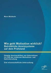 bokomslag Wie geht Motivation wirklich? - Betriebliche Anreizsysteme auf dem Prfstand