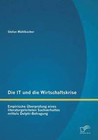 bokomslag Die IT und die Wirtschaftskrise - empirische berprfung eines literaturgeleiteten Sachverhaltes mittels Delphi-Befragung