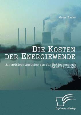 bokomslag Die Kosten der Energiewende