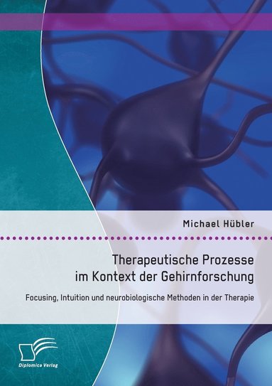 bokomslag Therapeutische Prozesse im Kontext der Gehirnforschung