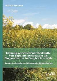 bokomslag Eignung verschiedener Herknfte von Silphium perfoliatum als Biogassubstrat im Vergleich zu Mais