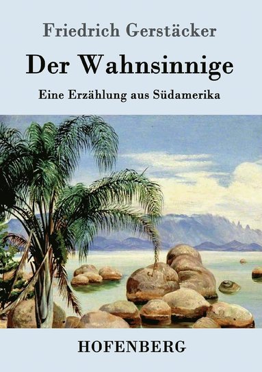 bokomslag Der Wahnsinnige