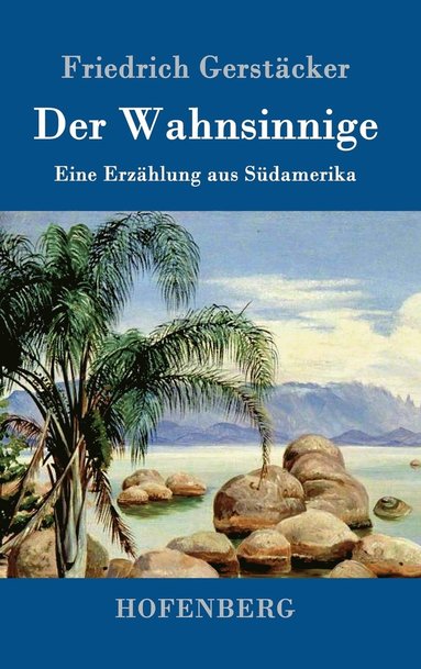 bokomslag Der Wahnsinnige