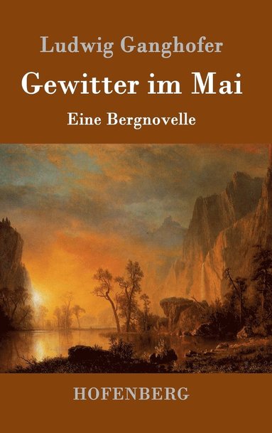 bokomslag Gewitter im Mai