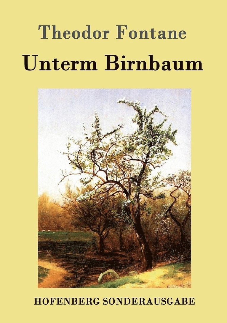 Theodor Fontane - Unterm Birnbaum, Häftad