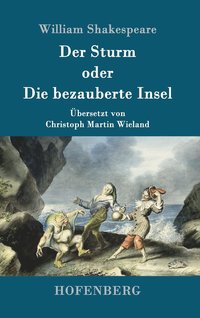 bokomslag Sturm