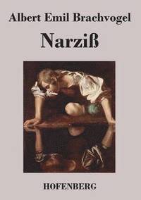bokomslag Narziß