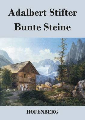 bokomslag Bunte Steine