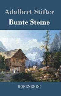 bokomslag Bunte Steine