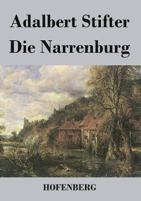 bokomslag Die Narrenburg