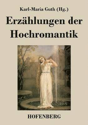 bokomslag Erzhlungen der Hochromantik