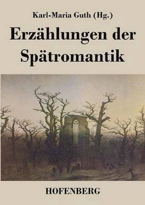 bokomslag Erzählungen der Spätromantik