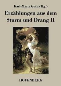 bokomslag Erzählungen aus dem Sturm und Drang II