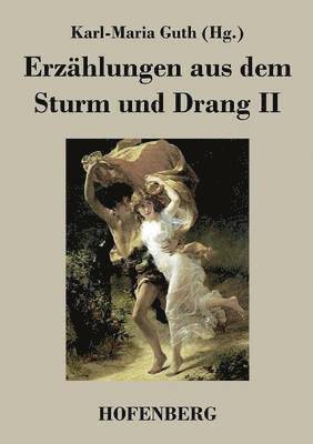 bokomslag Erzahlungen aus dem Sturm und Drang II