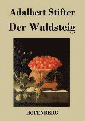 bokomslag Der Waldsteig