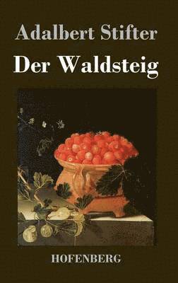 bokomslag Der Waldsteig