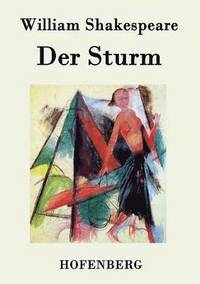 bokomslag Der Sturm