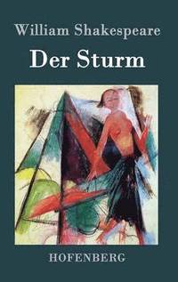 bokomslag Der Sturm