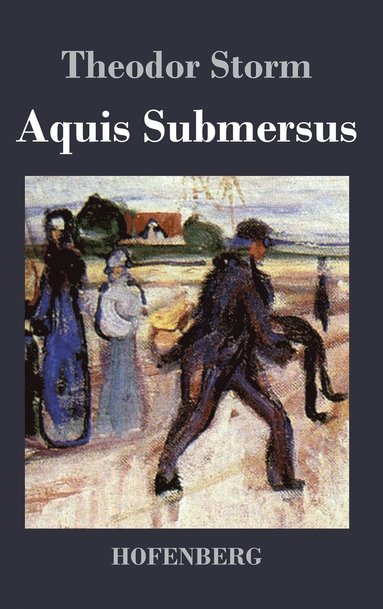 bokomslag Aquis Submersus