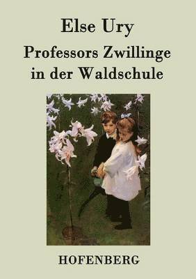 bokomslag Professors Zwillinge in der Waldschule