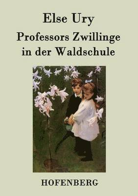 Else Ury - Professors Zwillinge in der Waldschule, Häftad