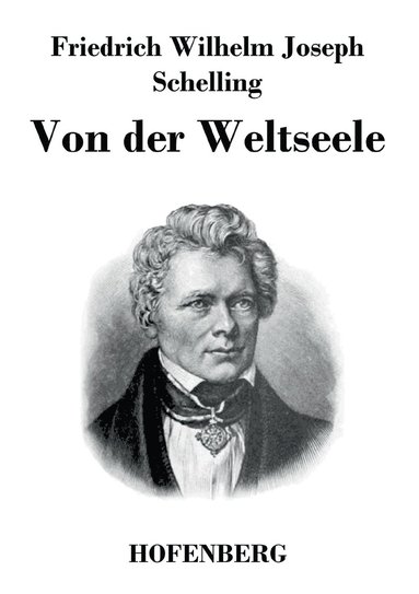 bokomslag Von der Weltseele