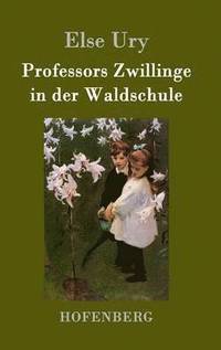 bokomslag Professors Zwillinge in der Waldschule