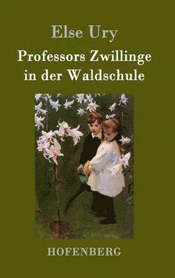 Else Ury - Professors Zwillinge in der Waldschule, Inbunden