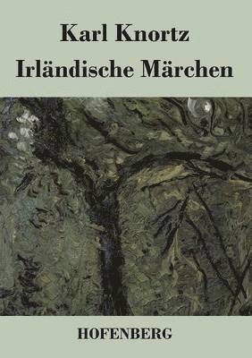 bokomslag Irlndische Mrchen