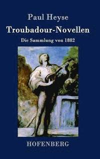 bokomslag Troubadour-Novellen